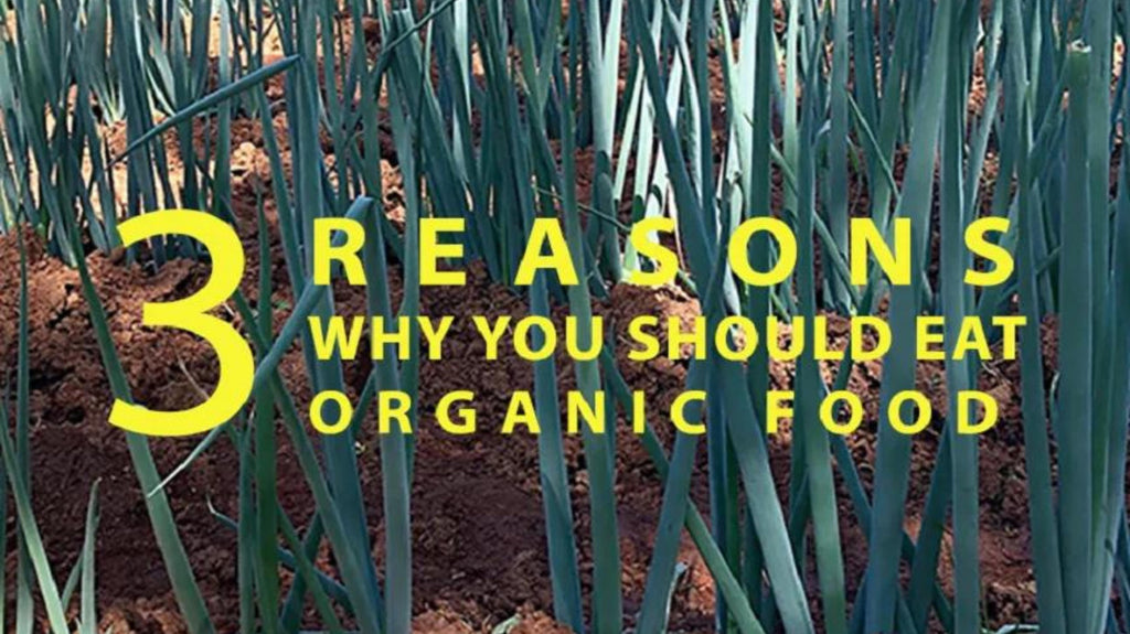 You Are What You Eat: 3 Reasons to Eat Organic