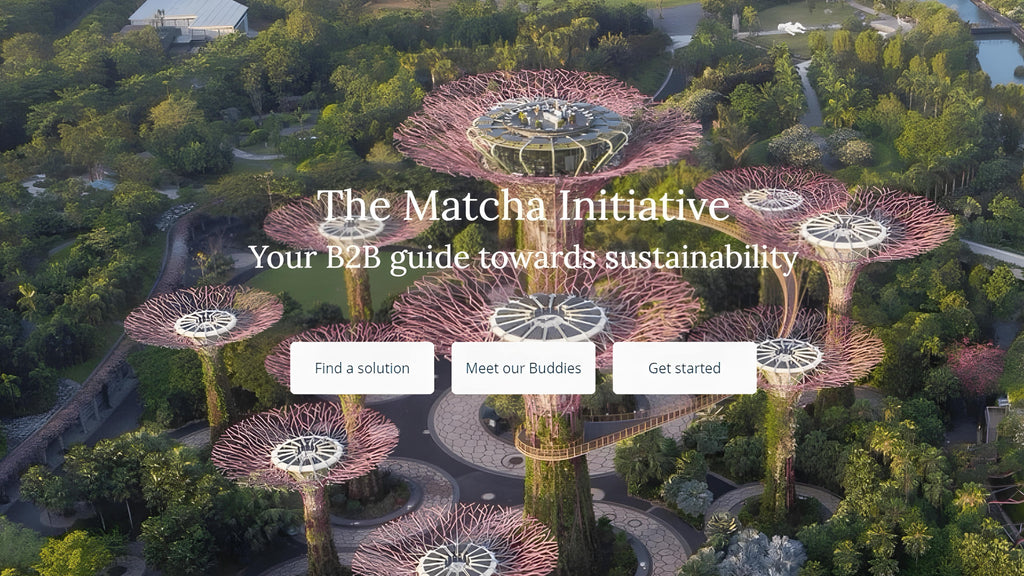 What is The Matcha Initiative?