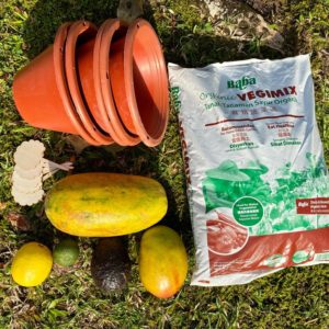 Plant A Tree kit (includes delivery fee)