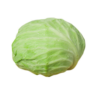 Organic Cabbage - White