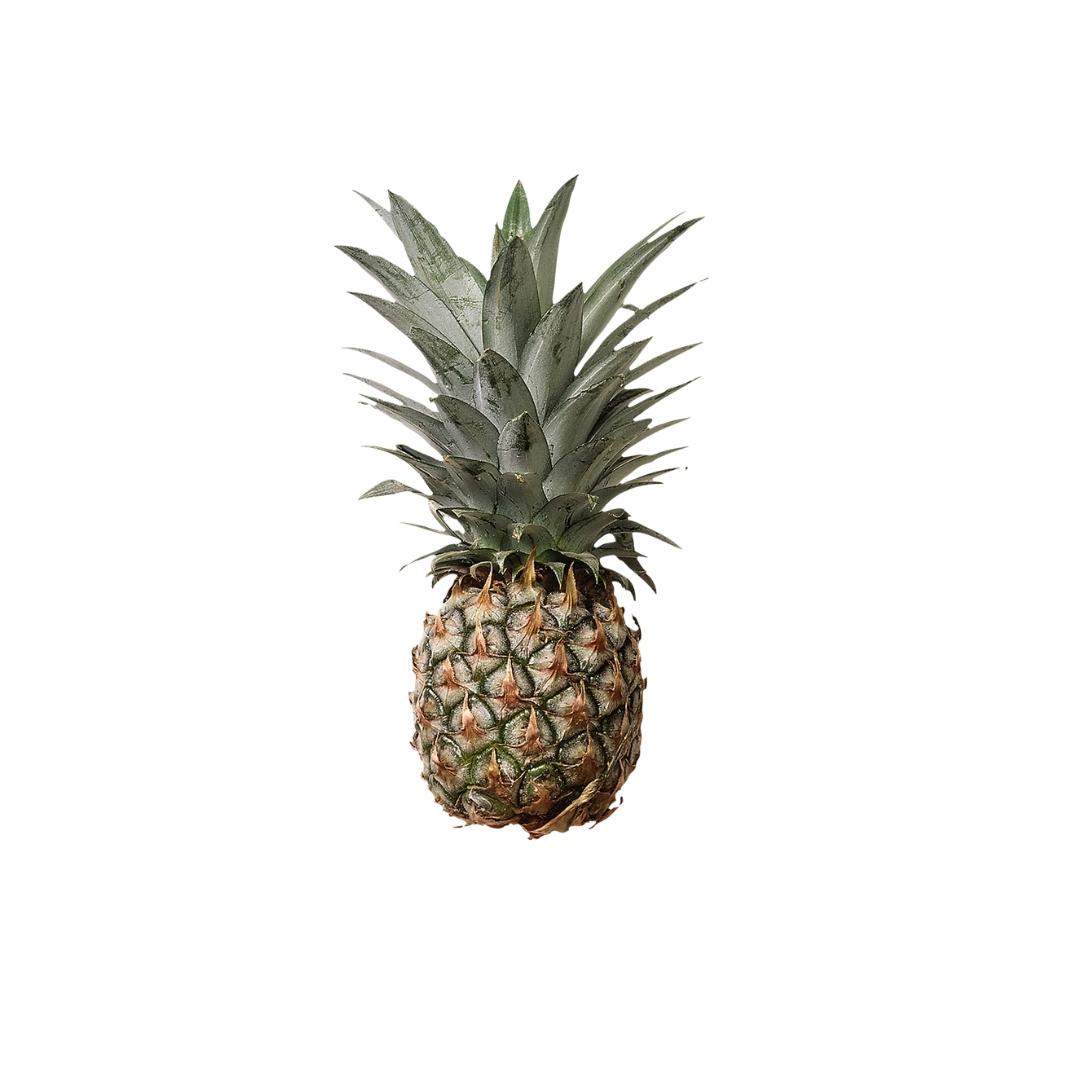 Organic Pineapple - small